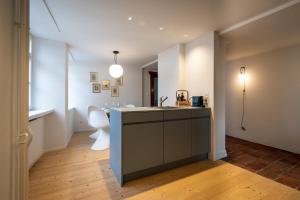 a bathroom with a sink and a toilet in a room at JACOB 1808. fine historic town apartments in Bischofszell