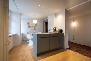 bagno con lavandino e servizi igienici in camera di JACOB 1808. fine historic town apartments a Bischofszell