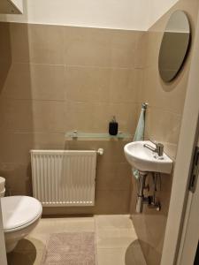 een badkamer met een wastafel, een toilet en een spiegel bij 4 seasons apartment in Wenen