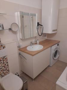 a bathroom with a sink and a washing machine at Apartment.Kirche in Sankt Georgen ob Murau