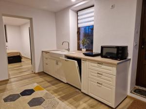 uma cozinha com um lavatório e um balcão com uma televisão em GIRO Guest House em Sfântu Gheorghe