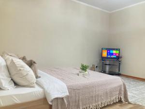 ein Schlafzimmer mit einem Bett und einem TV in der Ecke in der Unterkunft Уютная однушка на Сармате in Astana