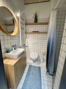 Design Boutique INBP110 Studio Apartment #freeparking في بودابست: حمام مع حوض ومرحاض ومرآة