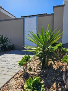 a garden with plants in front of a house at Corner Cottage in Cape Town