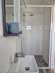 a bathroom with a shower and a white sink at Corner Cottage in Cape Town