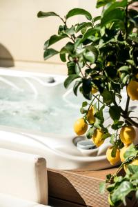 a plant sitting on a table next to a bath tub at Crocus Apartments in Sirmione