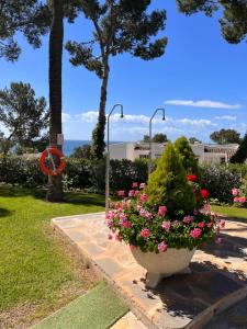 Vonkajšia záhrada v ubytovaní Miraflores La Cala Golf Tennis
