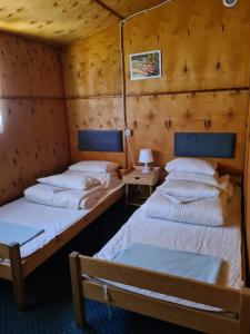 two beds in a room with wooden walls at Ośrodek Wypoczynkowy Amber in Kąty Rybackie