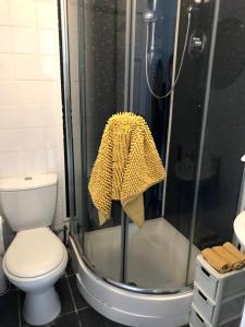 La salle de bains est pourvue de toilettes, d'une douche et d'une serviette. dans l'établissement Katy’s Cwtch, à Cardigan