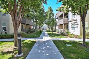 a sidewalk in front of a building with trees at Santa Clara 3BR w Gym Pool WD nr highways SFO-463 in Santa Clara