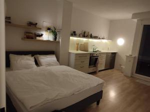 a bedroom with a bed and a sink in it at Studio mit Terrasse in zentraler Lage in Graz