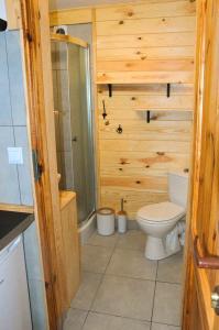 y baño de madera con aseo y ducha. en DoliAnna, en Krasnobród