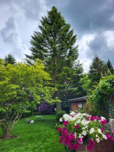 un giardino con fiori rosa e bianchi e un albero di Westküste Ferienwohnung a Heide