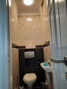 a small bathroom with a toilet and a sink at Villa Mariensiel in Sande