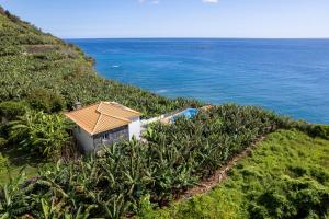 a house on a hill next to the ocean at Infinite Ocean View Villa 20m above Ocean & Beach in Arco da Calheta