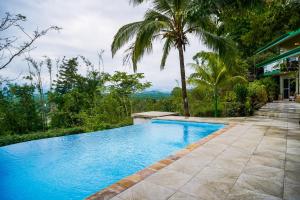 a swimming pool in front of a house with palm trees at Jungle Jewel in Quepos
