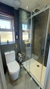 uma casa de banho com um WC e uma cabina de duche em vidro. em Kew Gardens - Private Double Room Richmond London - Homestay em Kew Gardens