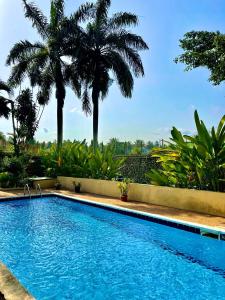 a swimming pool with palm trees in the background at Résidence Bertille Abidjan Cocody in Abidjan