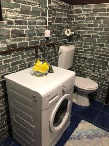 a washer and dryer in a bathroom with a toilet at Apartment Relax in Pluzine