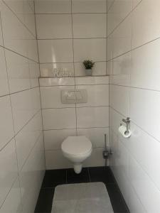a bathroom with a toilet and a plant on the wall at Ferienwohnung Moselglück in Burgen