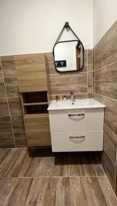 een badkamer met een wastafel en een spiegel bij Superbe appartement à 15min de Lyon in Saint-Fons