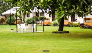 a group of white chairs sitting under a tree at Shree Vilas Orchid - A Pichola Lake Facing Resort in Udaipur +22 photos