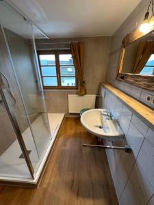 a bathroom with a glass shower and a sink at Charmante farbenfrohe Wohnung für zwei in Fischbachau