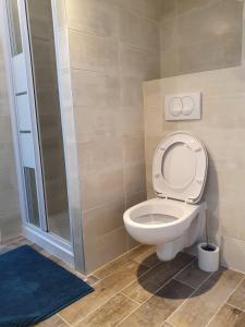 a bathroom with a toilet and a shower at Joli studio/Bourget/CDG/PARIS in Aulnay-sous-Bois +7 photos