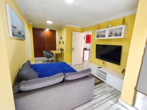 een woonkamer met een bank en een flatscreen-tv bij Apartamento en Calle Heraclio Sánchez in La Laguna