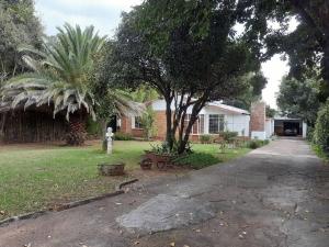 a yard with a tree and a house at 15 President Street in Parys in Parys