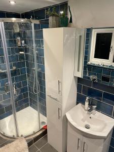 a bathroom with a shower and a sink at Cissbury in Midhurst