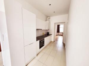 A kitchen or kitchenette at Donaufelder City Apartment