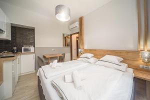 Kuchyň nebo kuchyňský kout v ubytování Park Hotel Ambrózia