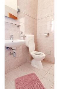ein Bad mit einem WC und einem Waschbecken in der Unterkunft Apartments Villa Višnja in Pašman