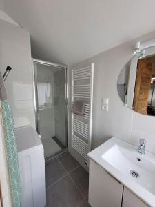 La salle de bains blanche est pourvue d'une douche et d'un lavabo. dans l'établissement Gîte La Toue, à Saint-Dyé-sur-Loire