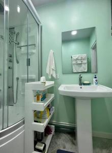 La salle de bains est pourvue d'un lavabo et d'une douche. dans l'établissement Newly renovated rental unit with free parking, à Oulan-Bator