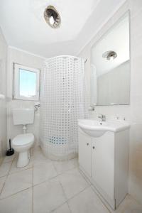a bathroom with a shower and a toilet and a sink at House Lovre in Tkon +21 photos