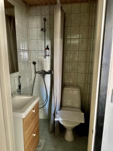 La salle de bains est pourvue d'une douche, de toilettes et d'un lavabo. dans l'établissement Studio King'sRoad, à Kuopio