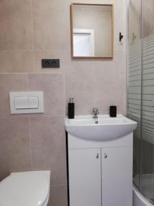 W łazience znajduje się umywalka, toaleta i lustro. w obiekcie Bridge Apartments Klaipeda w Kłajpedzie