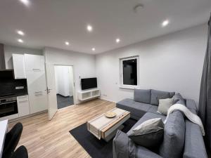TV a/nebo společenská místnost v ubytování Ferienwohnung Franzi