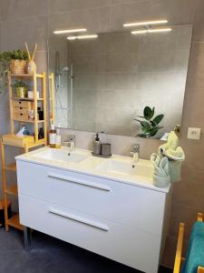 y baño con lavabo blanco y espejo. en Appartement Très Cosy à 5 min Aéroport Genève, en Ferney-Voltaire