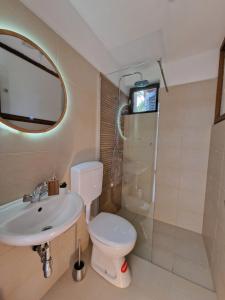 bagno con servizi igienici, lavandino e specchio di Studio apartman Karla a Fiume (Rijeka)