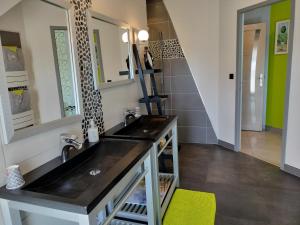 a bathroom with a sink and a mirror at Le Clos des Pommiers in Tracy-sur-Mer