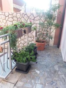 um pátio com vasos de plantas e uma parede de pedra em Apartment Lucia em Omišalj