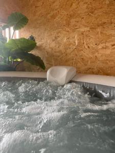 a tub filled with water next to a plant at Refúgio do Valouto in Torneiro