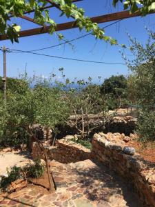 A garden outside Find your peace in a traditional country house!!
