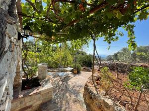 A garden outside Find your peace in a traditional country house!!
