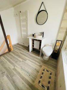 a bathroom with a toilet and a sink and a mirror at Charmant studio rénové et équipé in Hettange-Grande
