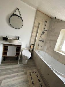 a bathroom with a toilet and a shower and a sink at Charmant studio rénové et équipé in Hettange-Grande