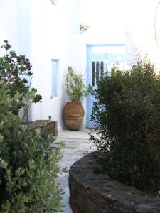 Zahrada ubytování Mare Mare Mykonos